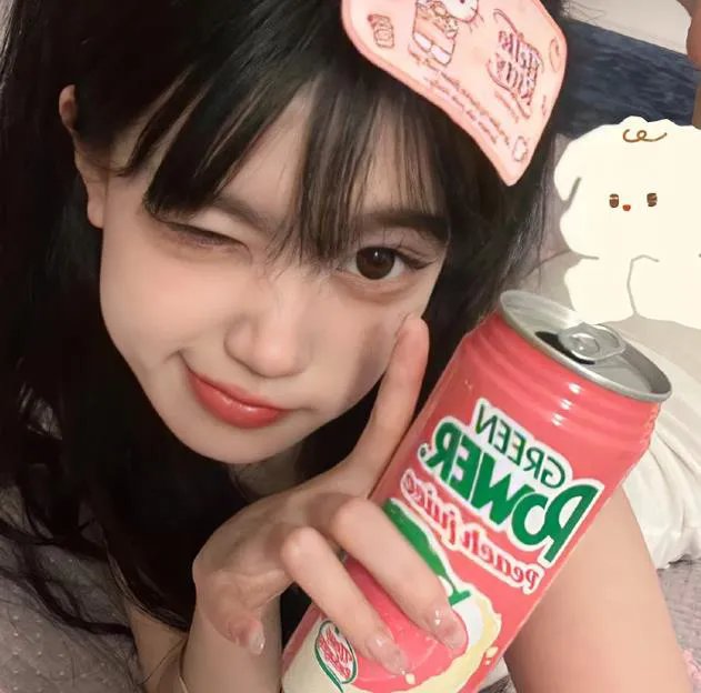 顽皮豹之子